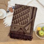 Dior scarf
