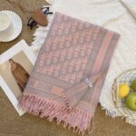 Dior scarf